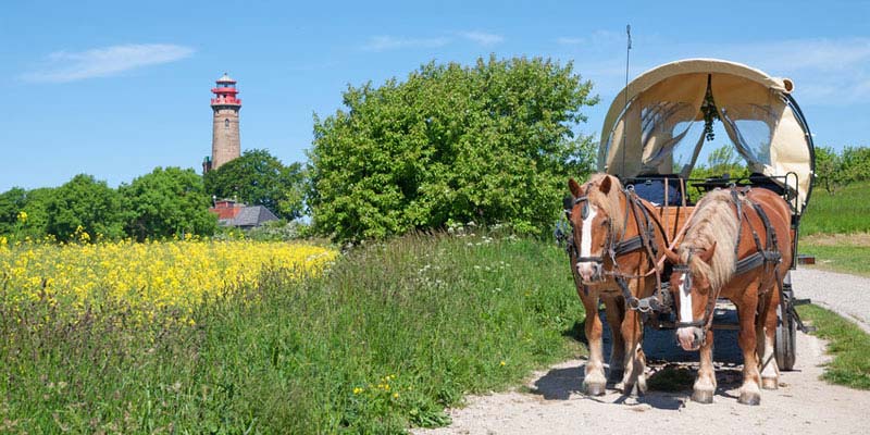 Ferien Rügen - Pferdekutsche