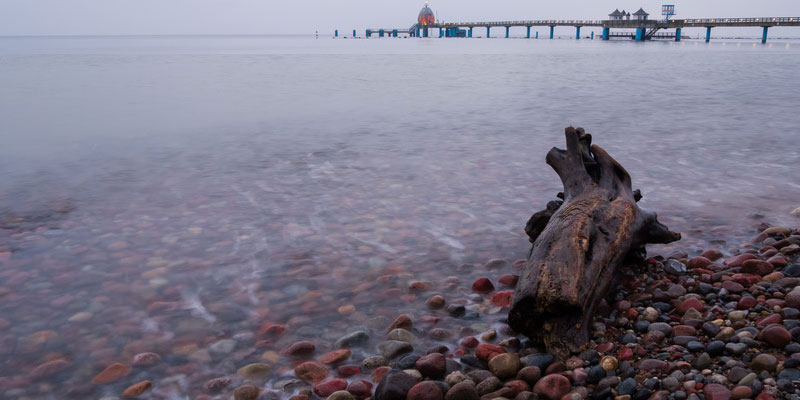 Ferien Rügen - Fossilien