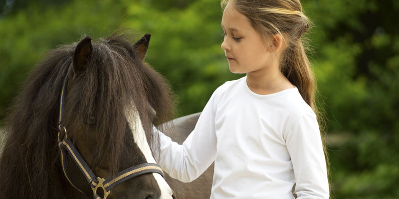 Ferien Rügen - Reiten